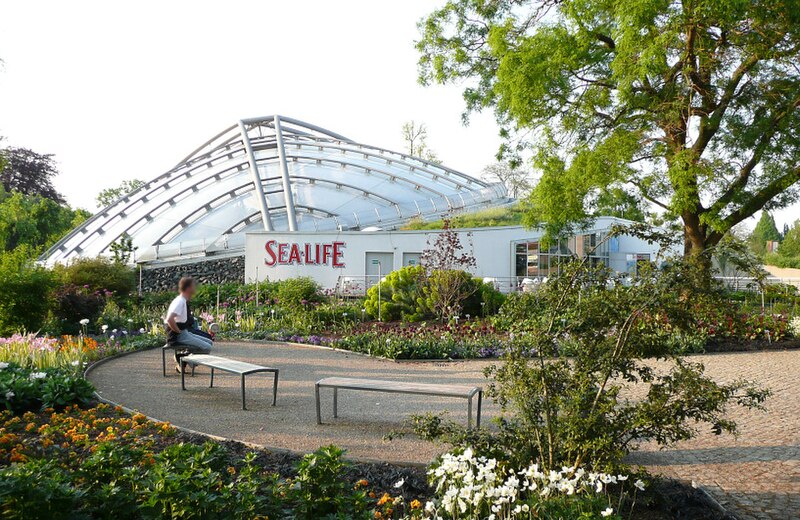 File:Sealife Hannover.jpg