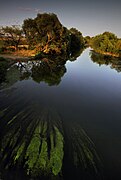 El Sitnica desde el puente Vojinović en Vushtrri