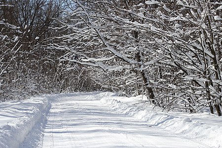 The snow-covered road from Sosonka village to the highway M21. Ukraine