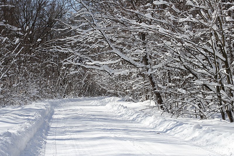 File:Snowy road Sosonka 2013 G1.jpg