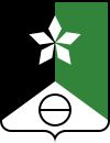 Wappen von Soledar