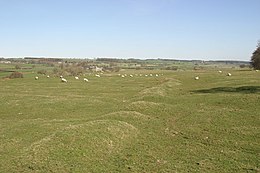 South Middleton, a deserted village in Northumberland South Middleton deserted village - geograph.org.uk - 388966.jpg