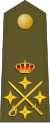 [Image: 50px-Spain-Army-OF-9.svg.png]