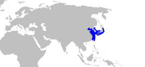 Beskrivelse av Squatina_japonica_distmap.png-bildet.