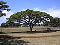 Hawaiian Islands