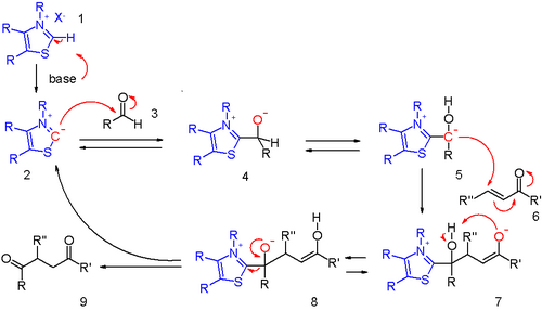 Scheme 2. Stetter reaction mechanism