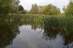 Stotfold Mill Meadows