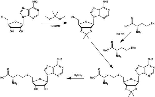 Synteza S-adenozylohomocysteiny