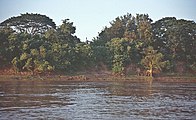 laotisches Ufer des Mekongs