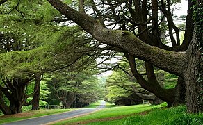 Les forêts du nord sont filmées au Tollymore Park.