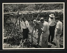 Visite du Santa Coffee Estate près de Bamenda par des membres de la mission de visite (1955).