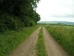 The Wolds Way beside Screed Plantation - geograph.org.uk - 1964076.jpg