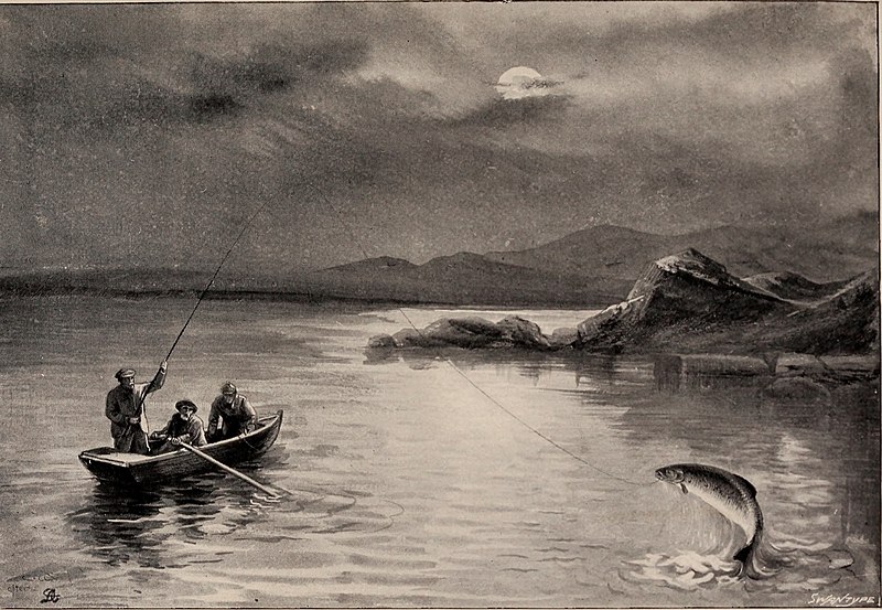 File:The cookery of the salmon (1898) (20666343416).jpg