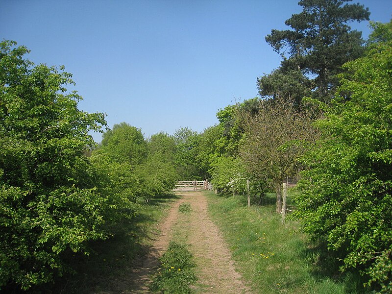 File:The end of the track - geograph.org.uk - 2370907.jpg