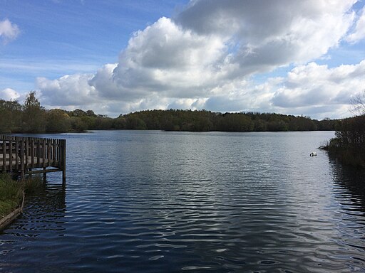 The lake at Wellington Country Park - geograph.org.uk - 4920443