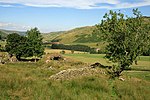 The remains of Tushielaw Tower - geograph.org.uk - 902023.jpg