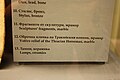 Миниатюра для версии от 19:32, 25 июня 2009