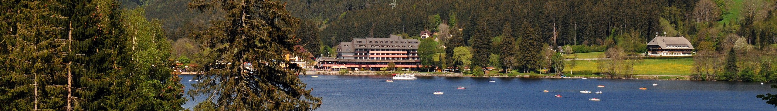 tourist information titisee titisee neustadt