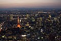 Tokyo tower aerial night.jpg