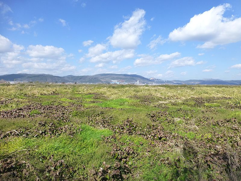 File:Tonghai County - Qilu Lake - P1360260.JPG