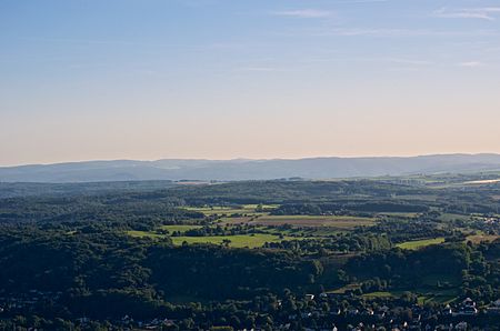 Totale vom Rodderberg