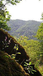 Tovuz region of Azerbaijan 1.jpg