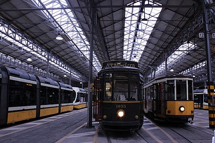 Trams at Messina Depot