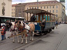 Historical horse-drawn tram at the festival called "Brno - City in the Centre of Europe" Tram horse tram Brno.jpg