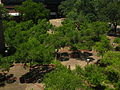 Turlington Plaza, a center of activity at the University of Florida when classes are in session