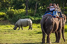 Tourists view a greater one-horned rhinoceros from an elephant in Chitwan National Park. USAID Measuring Impact Conservation Enterprise Retrospective (Nepal; National Trust for Nature Conservation) (26428623908).jpg