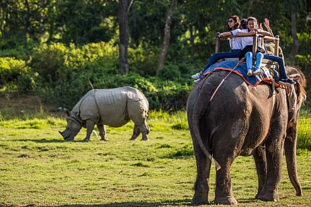 Tourists view a greater one-horned rhinoceros from an elephant in Chitwan National Park.