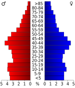 Age pyramid Maury County[17]