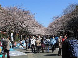 Ueno park