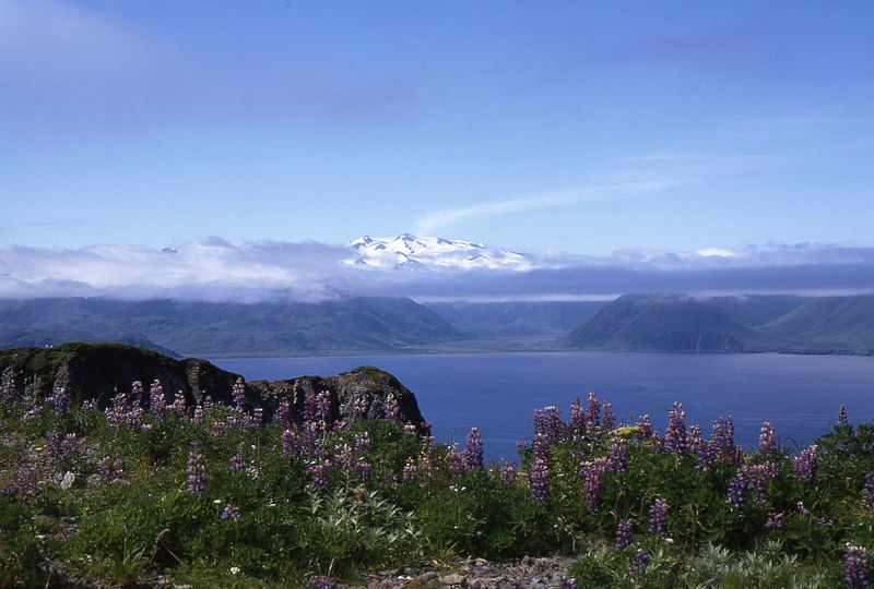 File:Unalaska 2.11.jpg