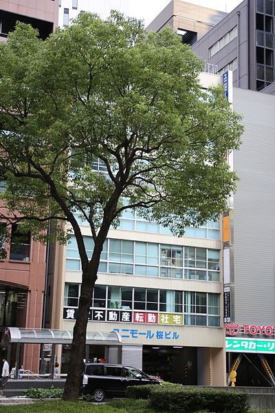 File:Unimall Sakura Building 20150812.JPG