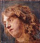 Van Dyck - Tête de jeune homme.jpg
