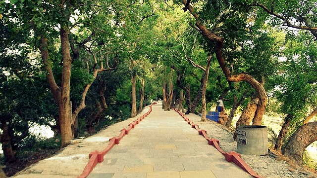 Vedanthangal Bird Sanctuary