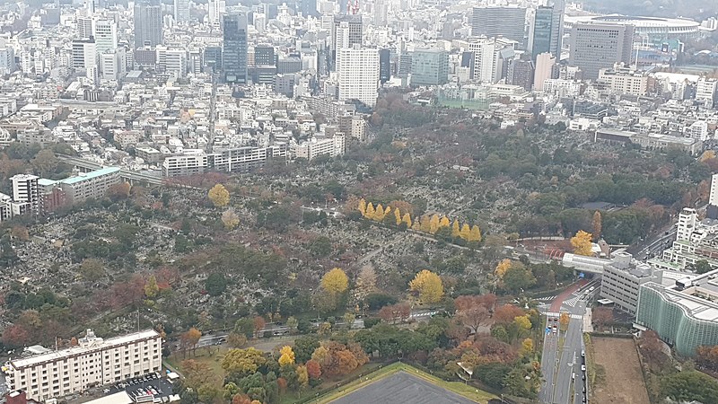 File:View of Aoyama Cemetery from Roppongi Hills Mori Tower - Dec 2019 - 1.jpg