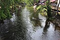 View of the Chattahoochee River along Helen Tubing from J.M. Wilkins Bridge