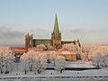 Nidaros Cathedral in Trondheim in the winter sun