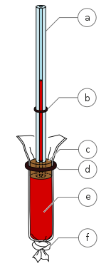 Diagram of visking tubing used to demonstrate osmosis