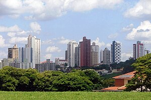 Piracicaba: Etimologia, História, Geografia