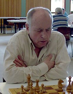 <span class="mw-page-title-main">Vlastimil Jansa</span> Czech chess player