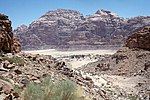 Miniatura para Desierto y semidesierto tropicales del mar Rojo