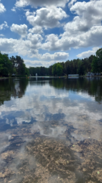 Blick auf den See im Waldbad Weixdorf