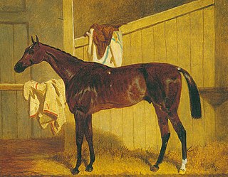 <span class="mw-page-title-main">Warlock (horse)</span> British Thoroughbred racehorse