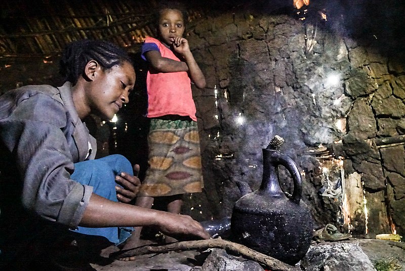 File:Wild Coffee in Ethiopia.jpg