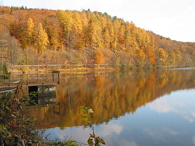 Herbstlich gefärbter Laubwald am See