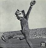 Willie the Wildcat (1961).jpg