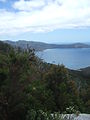 Distant view of Refuge Cove from Lighthouse Track.